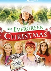 An Evergreen Christmass